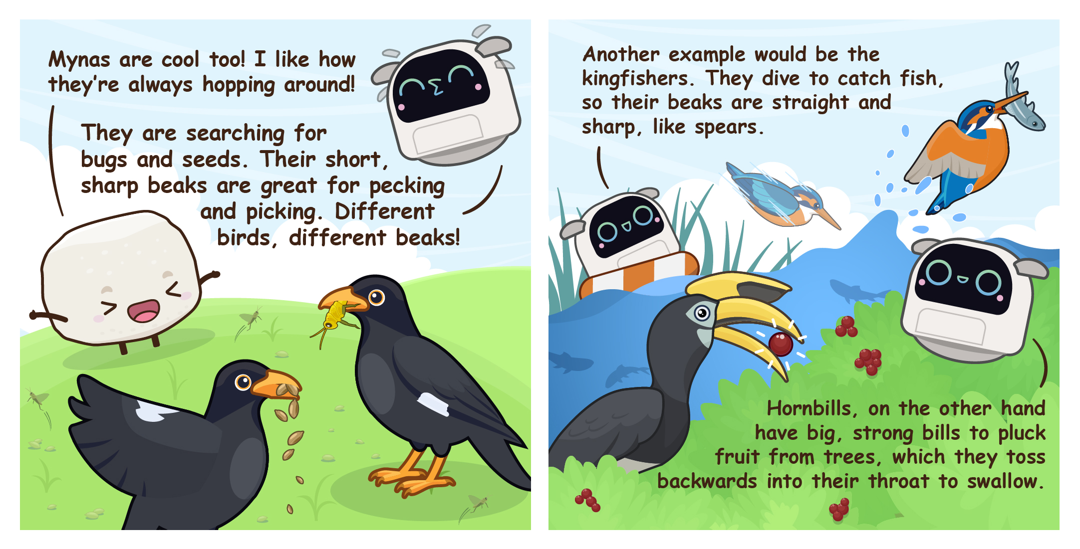 Two-panel comic exploring bird beak adaptations, comparing how mynas peck seeds and bugs, kingfishers use spear-like beaks to catch fish, and hornbills use large bills to pluck and toss fruit.